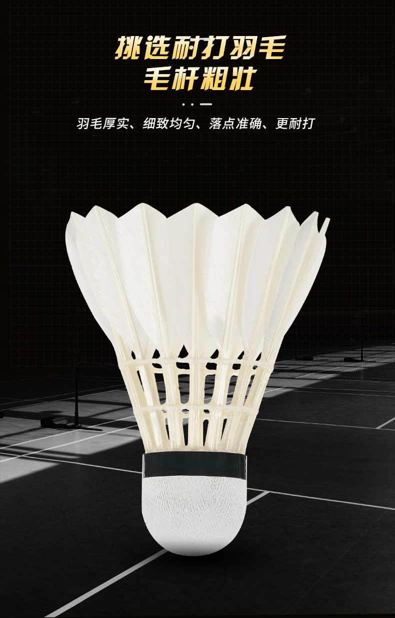 New 12PCS Professional Badmint - Badminton Victor review and price