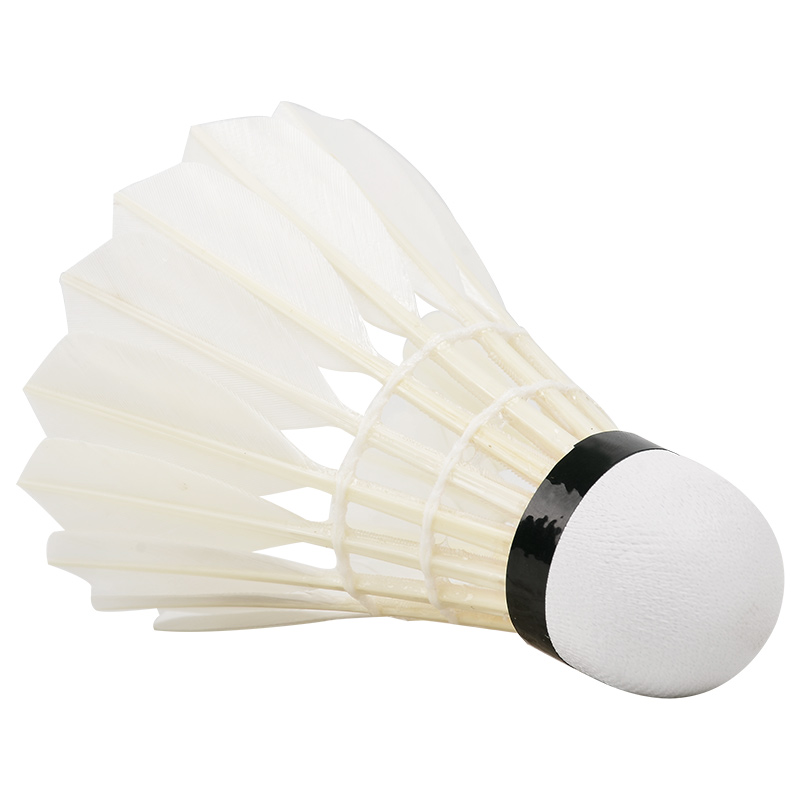 New 12PCS Professional Badmint - Badminton Victor review and price