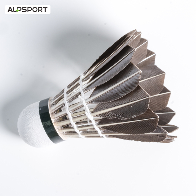 ALP 806 Badminton Shuttlecocks - Badminton Victor review and price