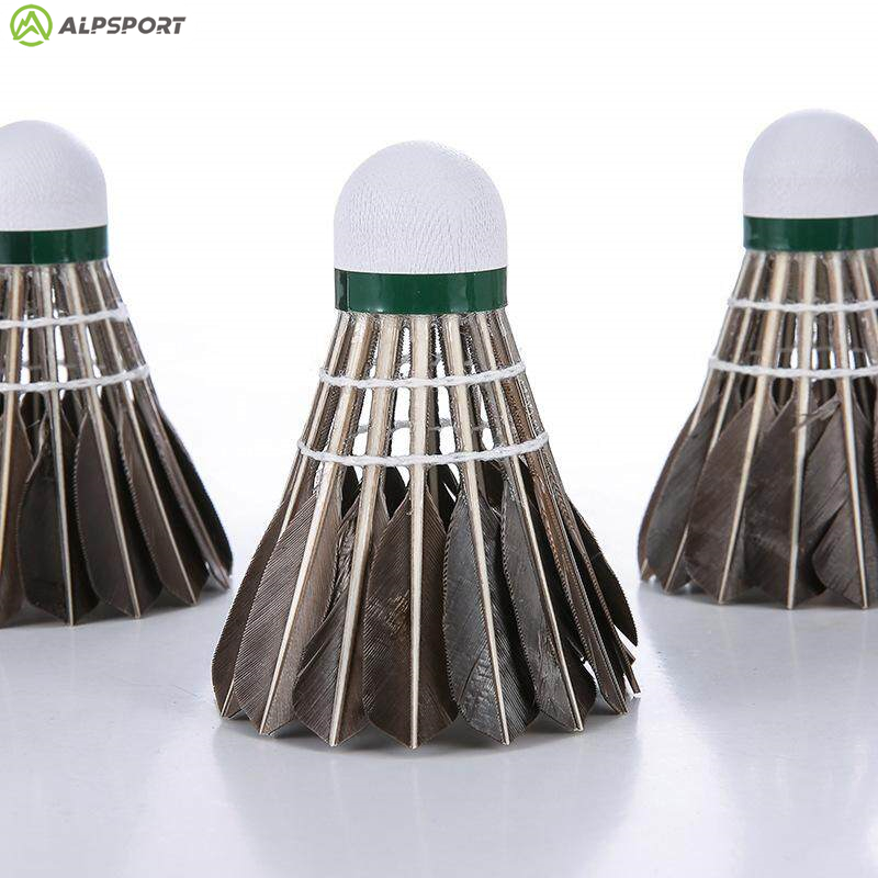ALP 806 Badminton Shuttlecocks - Badminton Victor review and price