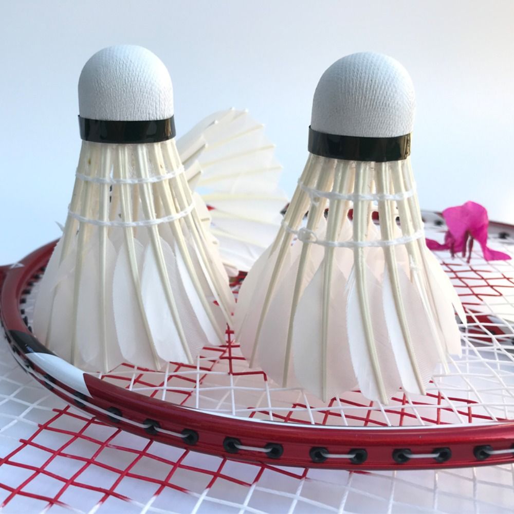 3/6/12Pcs New White Badminton  - Badminton Victor review and price